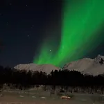 9 Person In * Lyngseidet