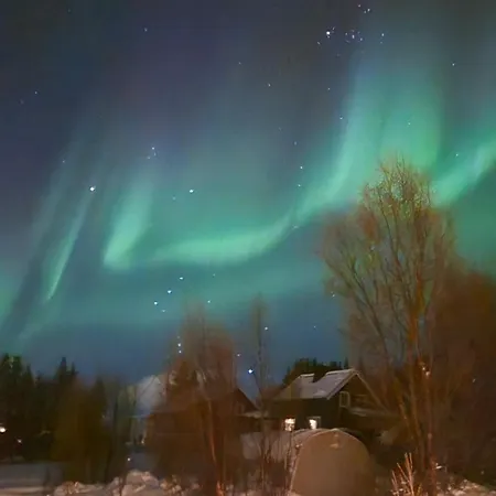 9 Person In * 灵塞德