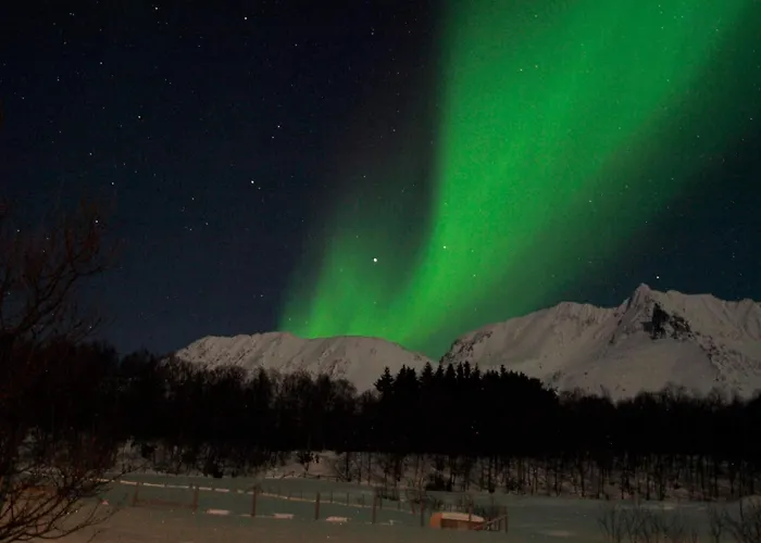 9 Person In * 灵塞德