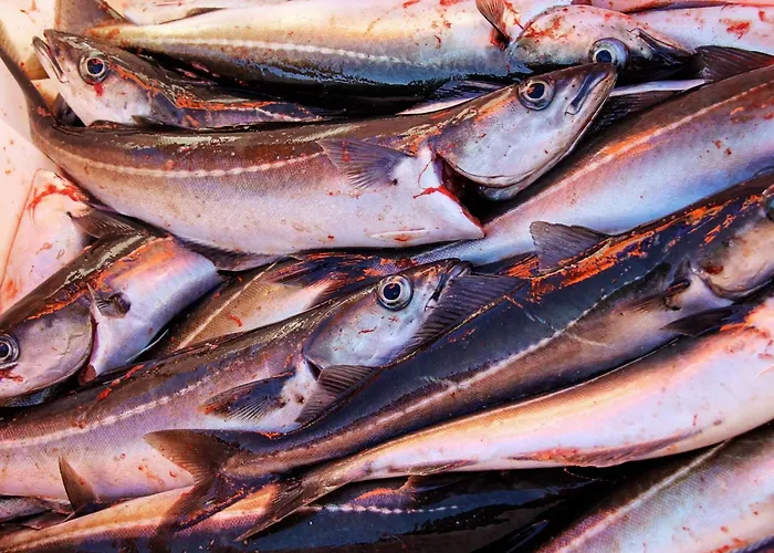 بيت للعطل 9 Person In Lyngseidet