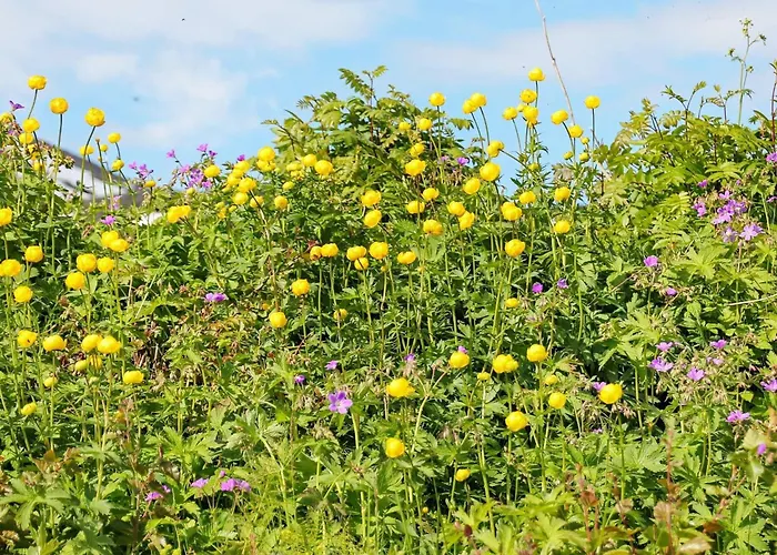 بيت للعطل 9 Person In