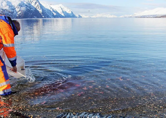 度假居 9 Person In