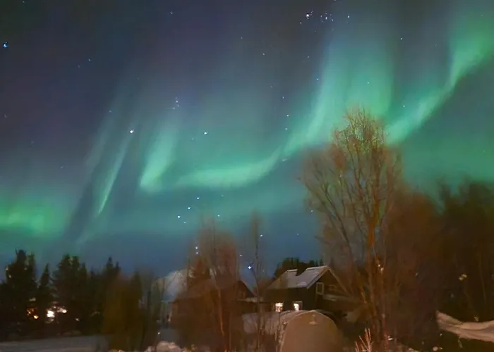 9 Person In * Lyngseidet