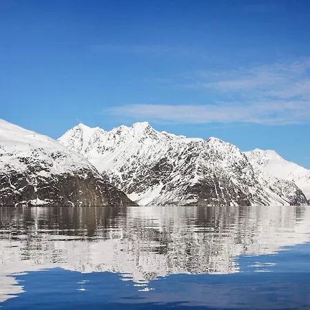 9 Person In * Lyngseidet