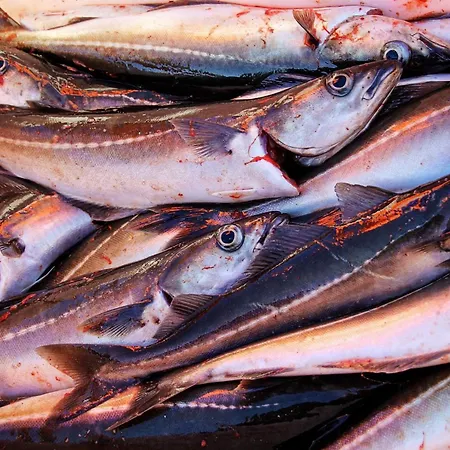 בית נופש 9 Person In Lyngseidet